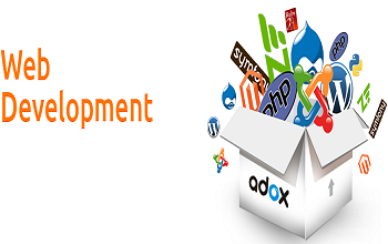 Web Development